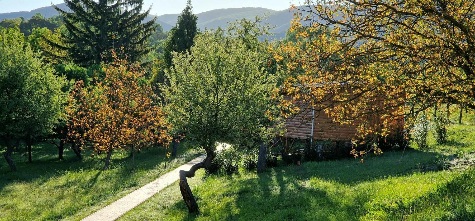 Reteskert Vendeghaz Es Apartman Belapatfalva Exteriér fotografie